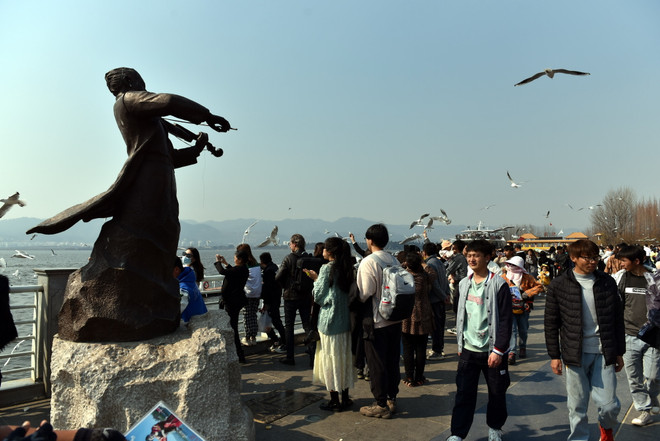 Trung Quốc: 'Xứ sở hải âu' ở thành phố Côn Minh thu hút du khách ảnh 10