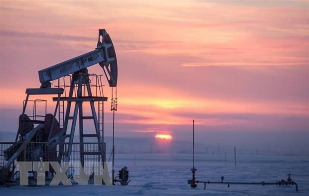 Nga: Việc phương Tây áp giá trần dầu mỏ là 'động thái nguy hiểm' ảnh 1
