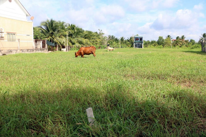 Loay hoay việc quản lý tách thửa, phân lô và bán nền tự phát ảnh 1