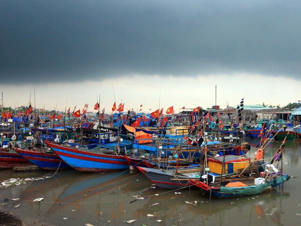 Xây dựng Vịnh Bắc Bộ thành vùng biển hòa bình, phát triển kinh tế biển ảnh 2