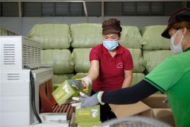 Lâm Đồng: Doanh nghiệp không sử dụng hóa chất khi chế biến chè ảnh 2