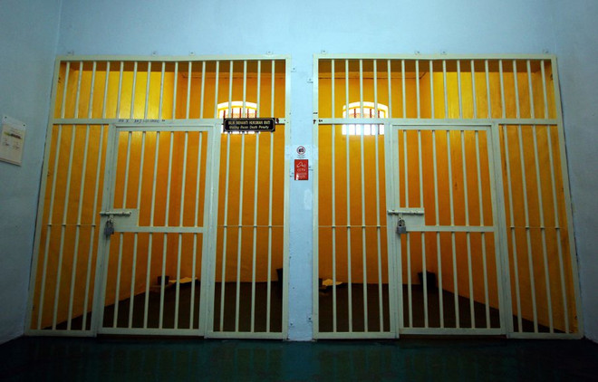 Một kỹ sư bị phạt tù và phải nộp 26 triệu đồng vì ngược đãi thú cưng ảnh 1