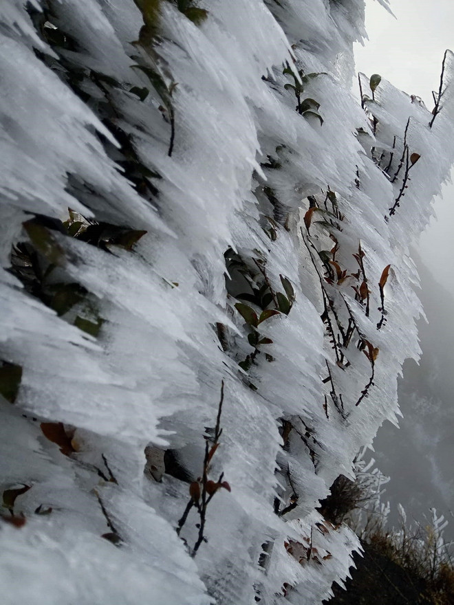 Băng giá phủ trắng núi đồi ở Sa Pa, Bát Xát, nhiệt độ giảm sâu ảnh 2