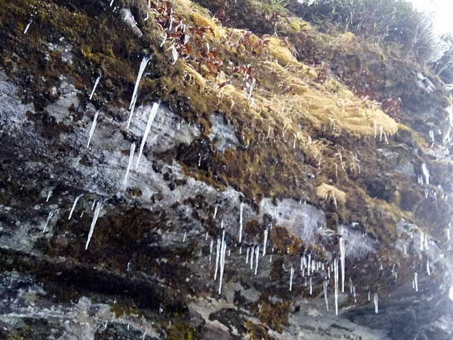 Băng giá phủ trắng núi đồi ở Sa Pa, Bát Xát, nhiệt độ giảm sâu ảnh 4