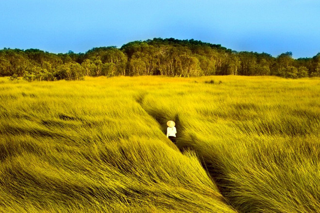 Hệ thống CGV Art House khai trương sẽ có mức giá đặc biệt ưu đãi ảnh 1