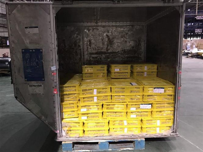 Những lô nhãn chín muộn đầu tiên của Hà Nội được xuất sang Australia ảnh 1