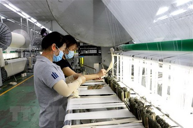 TP.HCM tiếp sức cho người lao động với 'combo việc làm 3 trong 1' ảnh 1