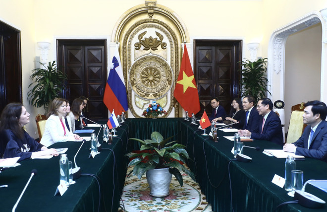 Bộ trưởng Ngoại giao Bùi Thanh Sơn hội đàm với Phó Thủ tướng, Bộ trưởng Ngoại giao và Các vấn đề châu Âu Cộng hòa Slovenia Tanja Fajon. (Ảnh: Lâm Khánh/TTXVN) Việt Nam muốn tăng cường quan hệ hợp tác nhiều mặt với Slovenia ảnh 2