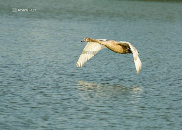 Giảng viên đại học 'gây bão' với những bức ảnh chụp ở 'thành phố xanh' ảnh 9