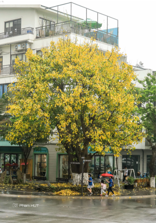 Giảng viên đại học 'gây bão' với những bức ảnh chụp ở 'thành phố xanh' ảnh 10