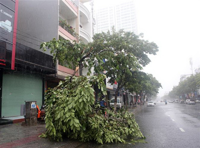 Chủ động ứng phó với bão số 5 trong bối cảnh dịch COVID-19 ảnh 2