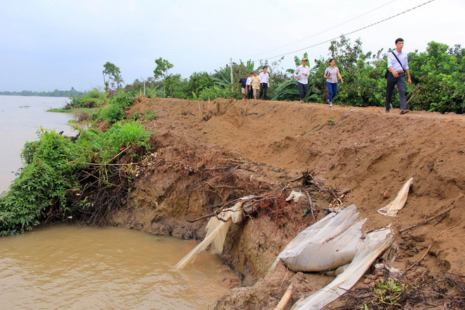 Liên tiếp xảy ra sạt lở bờ sông tại Đồng Tháp gây thiệt hại lớn ảnh 1