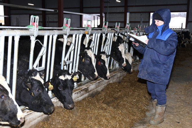 'TH tự hào có đàn bò sữa cho sản lượng bình quân cao nhất nước Nga' ảnh 4