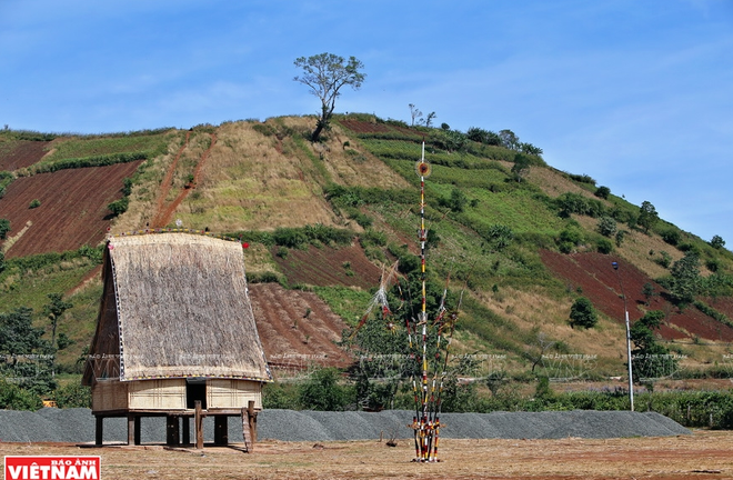Khám phá vẻ đẹp hoang sơ quyến rũ của núi lửa Chư Đăng Ya ảnh 3