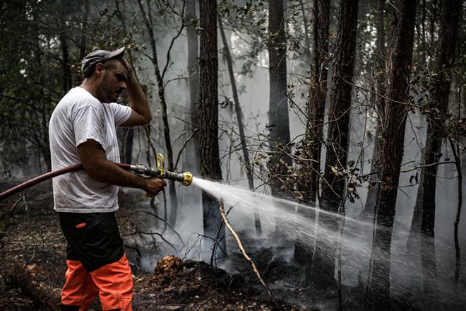Đã kiểm soát đám cháy rừng ở vùng trồng nho Tây Nam nước Pháp ảnh 1