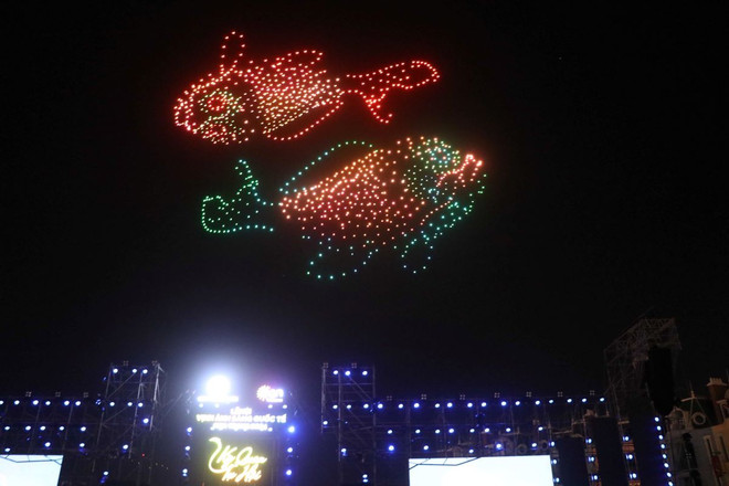 ttxvn_trinh dien drone 2.jpg