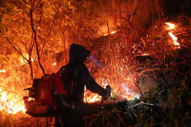 Vụ cháy rừng tại núi Nầm ở Hà Tĩnh đã cơ bản được khống chế ảnh 1
