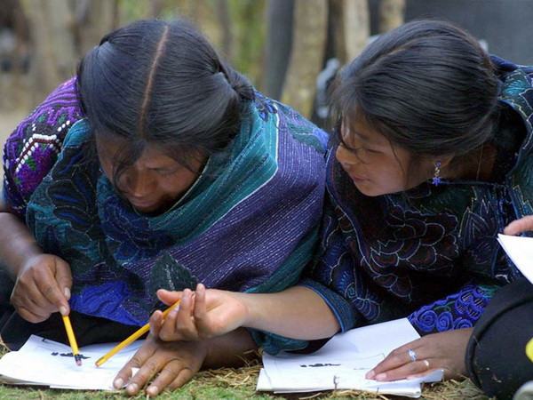 UNESCO kêu gọi nâng cao trình độ học vấn cho nữ giới ảnh 1