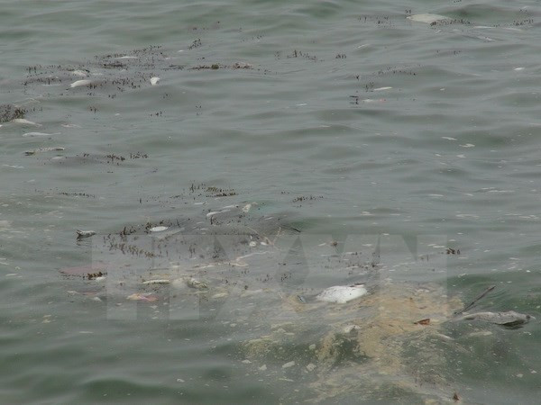 Nhiều tàu cá ở Quảng Bình "tê liệt" sau sự cố ô nhiễm biển ảnh 1