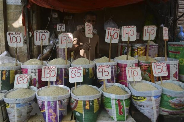 Giá lương thực thế giới đang ở mức cao kỷ lục do xung đột Nga-Ukraine ảnh 1