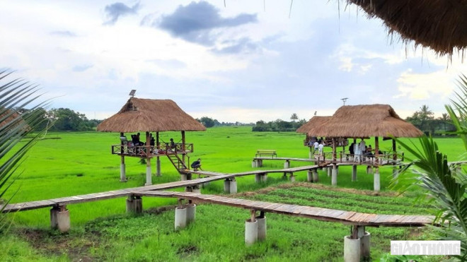 Đắk Lắk: Cảnh cáo hai cán bộ sai phạm trong công tác quản lý đất đai ảnh 1