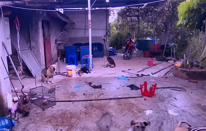 Nhà nạn nhân Lê Anh Dũng. (Ảnh: Đinh Tuấn/TTXVN) Bắt hung thủ gây ra vụ giết người tại thành phố Hưng Yên ảnh 2