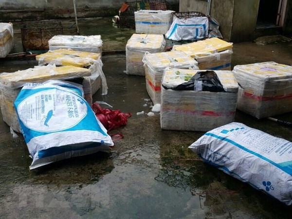 Hà Giang phát hiện gần 1,2 tấn sủi cảo, chả cá không rõ nguồn gốc ảnh 1