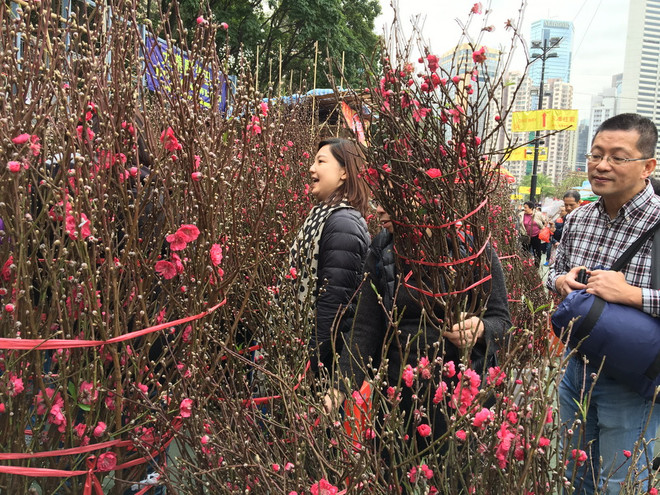 Người dân đặc khu hành chính Hong Kong rộn ràng đón Tết Âm lịch ảnh 1