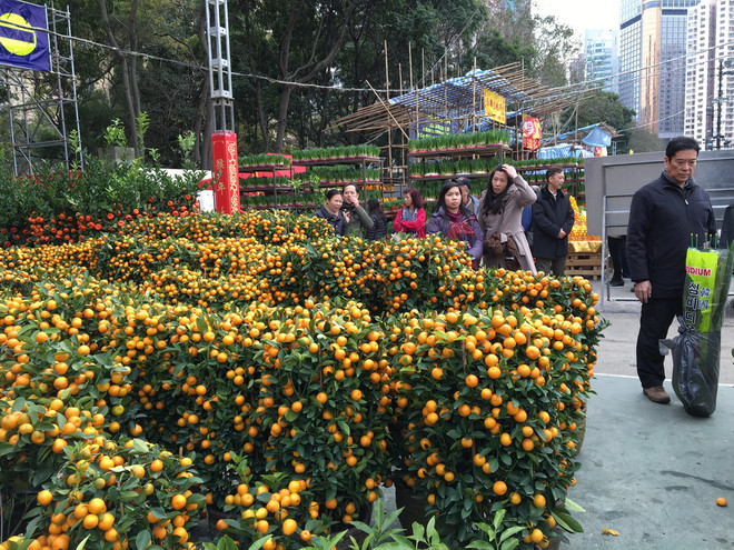 Người dân đặc khu hành chính Hong Kong rộn ràng đón Tết Âm lịch ảnh 2