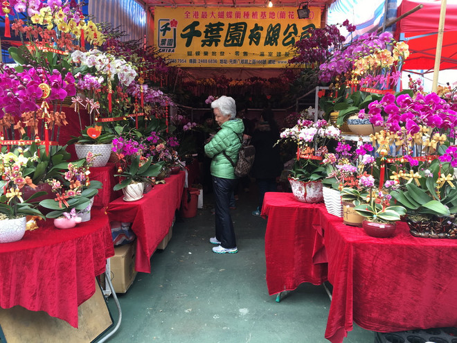 Người dân đặc khu hành chính Hong Kong rộn ràng đón Tết Âm lịch ảnh 3