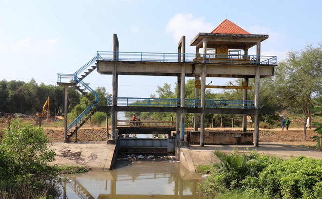 ttxvn_Xam nhap man 2.jpg