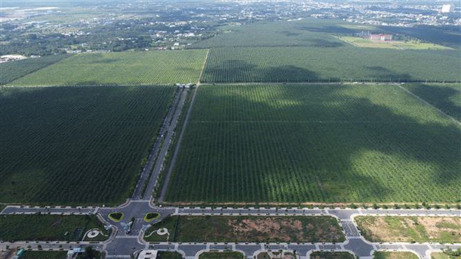 Đồng Nai: Chủ dự án Gem Sky World bị đề nghị xử phạt 900 triệu đồng ảnh 1