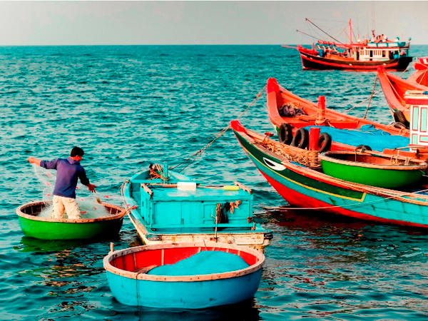 Hiệp lực tiếp sức để ngư dân vững tin vươn khơi bám biển ảnh 1