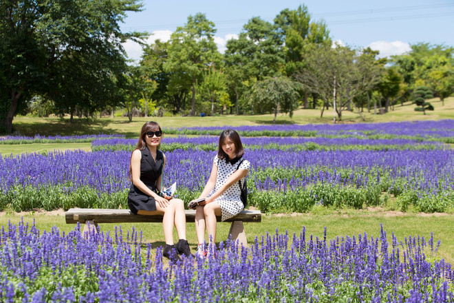 Phát triển điểm đến vệ tinh: Giải pháp bền vững cho quá tải du lịch? ảnh 2