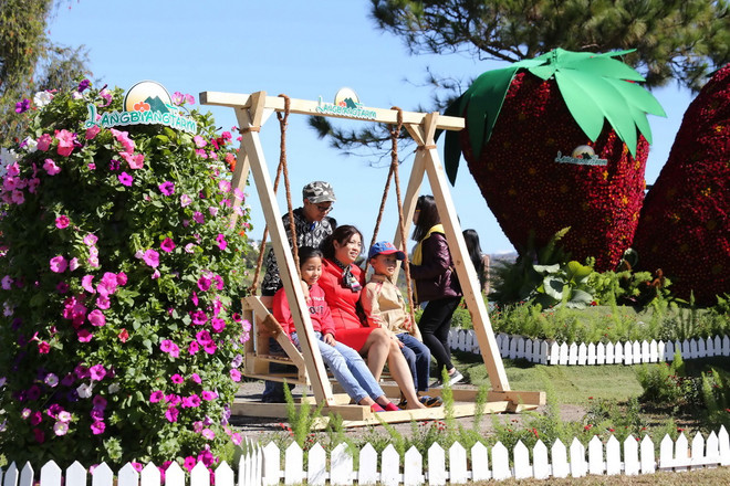 Festival hoa Đà Lạt 2015: Đồng loạt khai mạc 5 chương trình ảnh 2