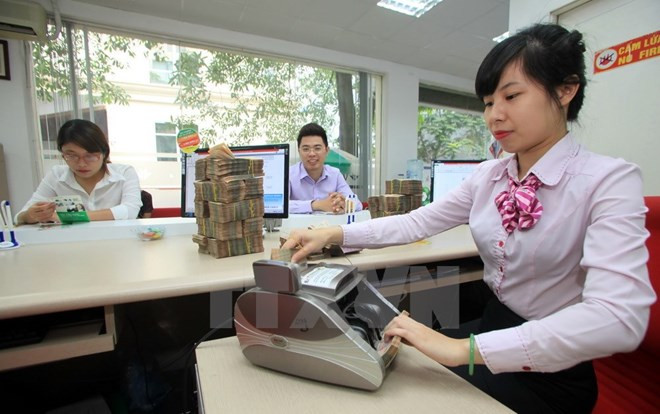 Ảnh minh họa. (Nguồn: TTXVN) Lập đoàn giám sát việc quản lý và sử dụng nguồn vốn vay nước ngoài ảnh 1