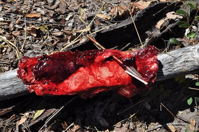 Con người tàn phá thiên nhiên hoang dã hơn cả biến đổi khí hậu ảnh 1