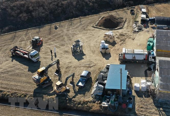 Hàn Quốc tiêu hủy gần 22 triệu con gia cầm do lo ngại dịch cúm ảnh 1