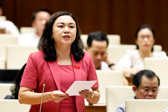 Đại biểu Quốc hội tỉnh Hòa Bình Đặng Bích Ngọc phát biểu ý kiến. (Ảnh: Doãn Tấn/TTXVN) ttxvn_dai bieu dang bich ngoc.jpg