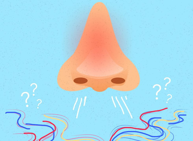 Mất khứu giác do COVID-19 có liên quan đến tổn thương não ảnh 1