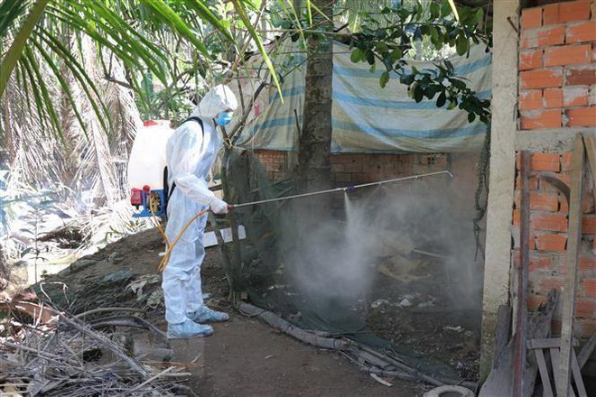 Dịch tả lợn châu Phi có chiều hướng gia tăng tại Điện Biên, Cà Mau ảnh 1