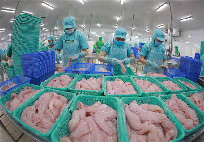 Làm sao để Việt Nam trở thành trung tâm chế biến thủy sản hàng đầu? ảnh 1