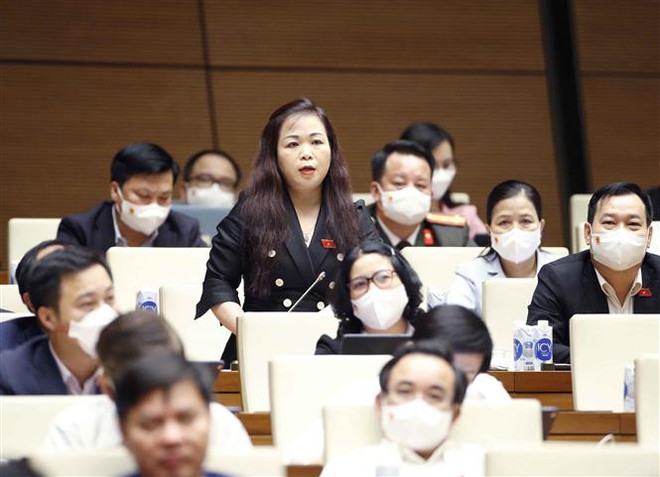 Quản lý đất đai đối với nhà đầu tư nước ngoài 'núp bóng' doanh nghiệp ảnh 1