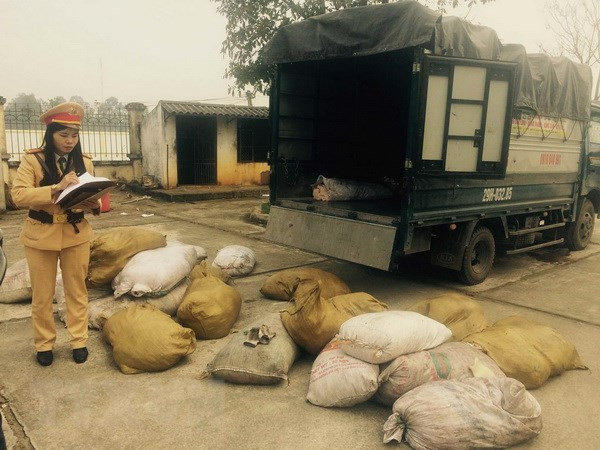 Thanh Hóa: Chặn đứng vụ vận chuyển 900kg bì lợn bốc mùi hôi thối ảnh 1