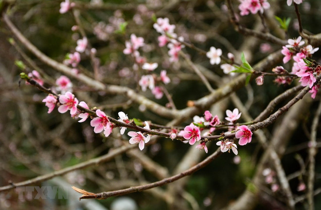 Khu vực Bắc Bộ sáng có mưa nhỏ, Nam Bộ nắng nóng 35 độ C ảnh 1