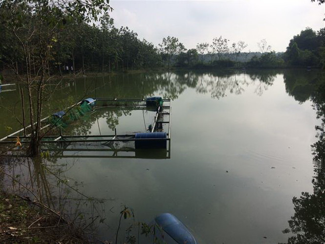 Tìm thấy thi thể người đàn ông bị đuối nước mất tích khi chìm bè phao ảnh 1