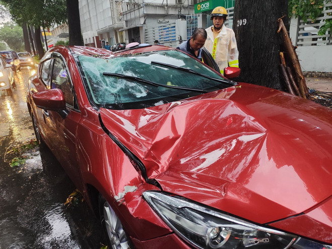 Mưa to kèm dông lốc khiến một xe ôtô bị cành cây gãy đổ rơi trúng trên đường Nguyễn Đình Chiểu (quận 3). (Ảnh: Xuân Anh/TTXVN) ttxvn_mua ngap 3.jpg