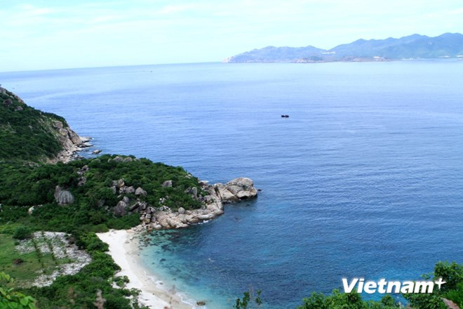 "Vua bếp" Bobby Chinn làm Đại sứ Du lịch Việt Nam tại châu Âu ảnh 1