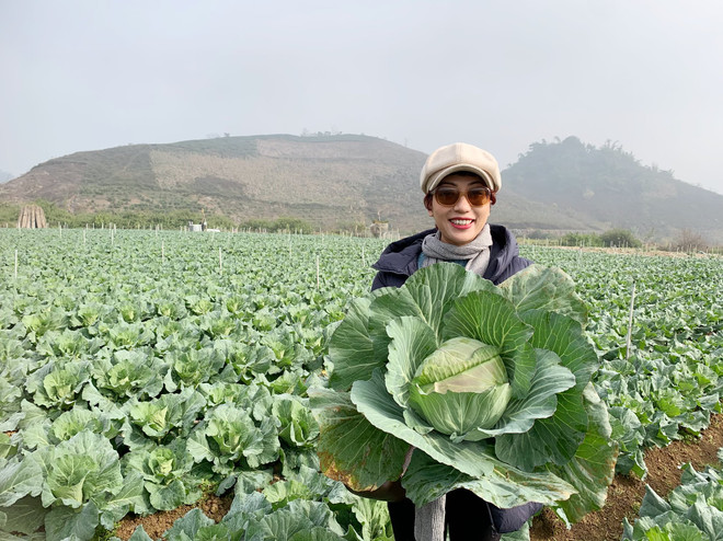 Phan Anh bên những thửa ruộng rau cải được canh tác chuẩn VietGAP. (Ảnh: NVCC) Trải nghiệm một Tây Bắc đầy khác lạ cùng food blogger Phan Anh ảnh 2