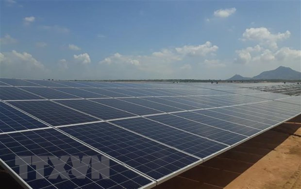 Long An: Hai doanh nghiệp điện năng lượng Mặt Trời bị xử phạt ảnh 1